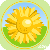 Picasa HD Lite